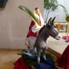 Palmsonntag 2016 40